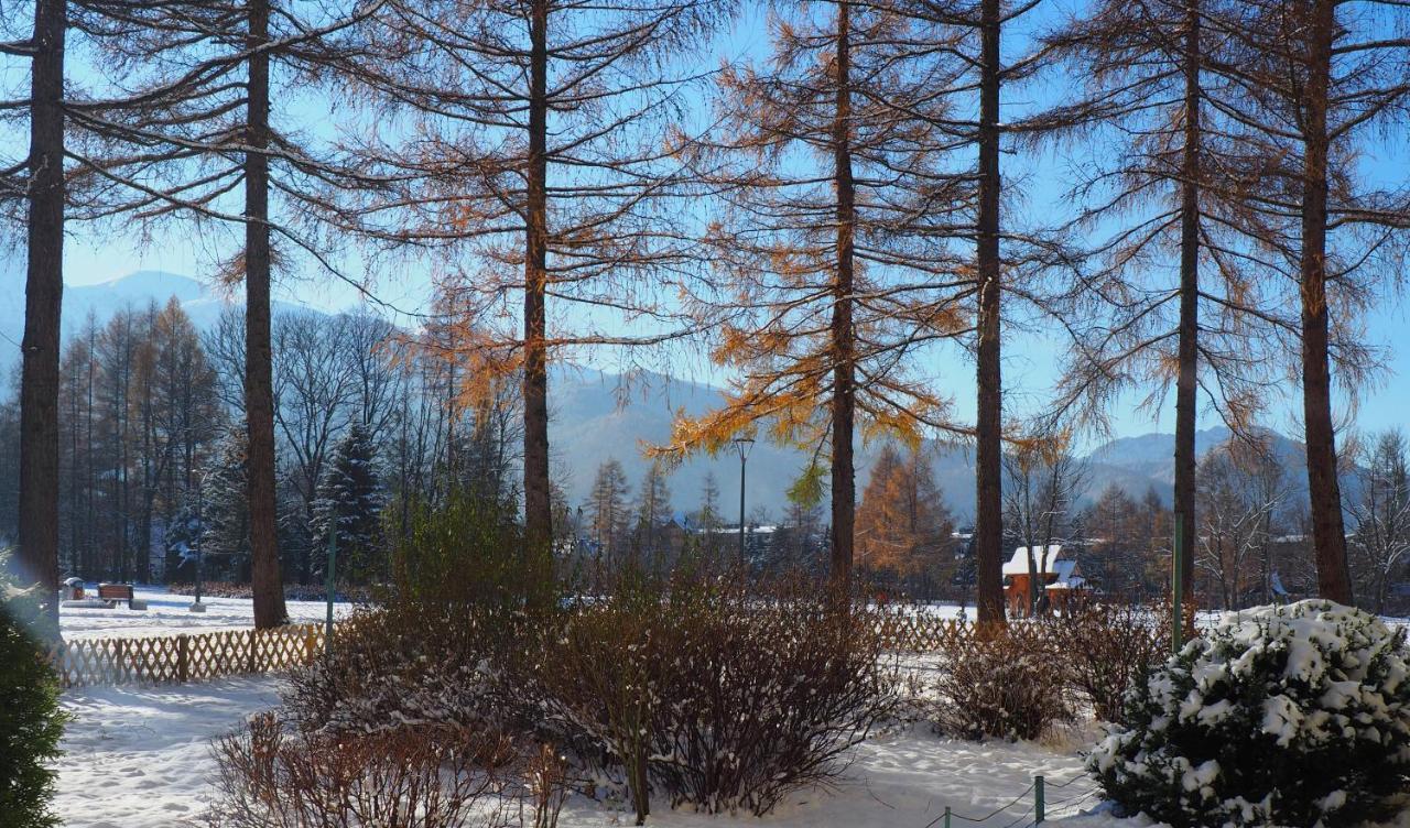 Apartament Liliowa Przełęcz Zakopane Zewnętrze zdjęcie